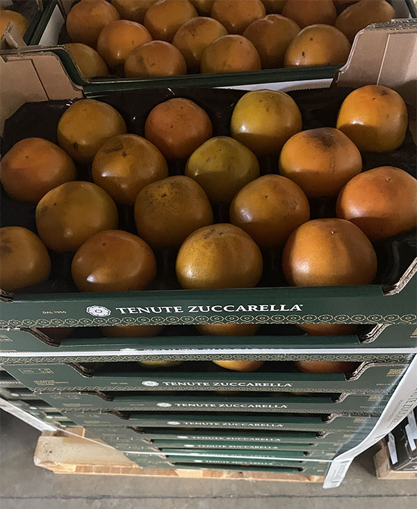 Kaki - Italia - 2,45 euro al chilogrammo